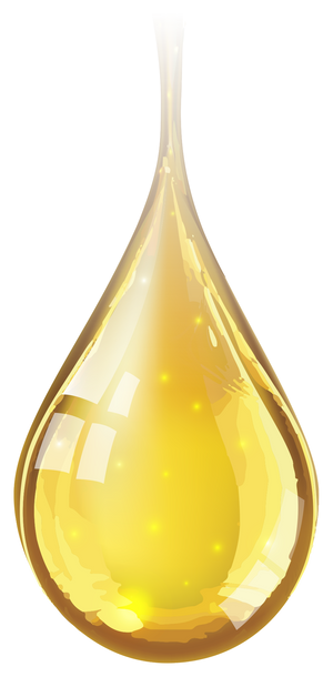 Cold Pressed vs CO2 Extraction